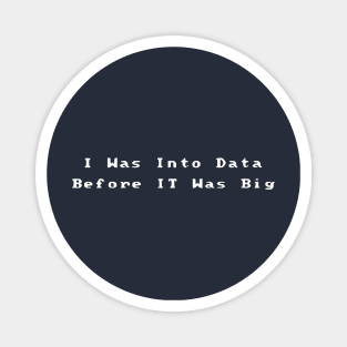 I Was Into Data Before It Was Big Magnet